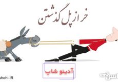 معنی خر از پل گذشتن