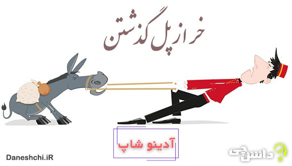 معنی خر از پل گذشتن