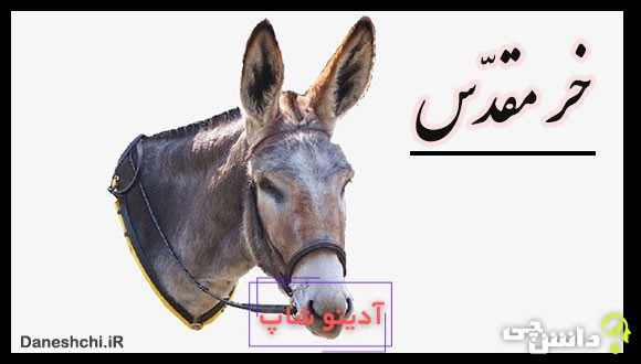 ضرب المثل خر مقدس بودن