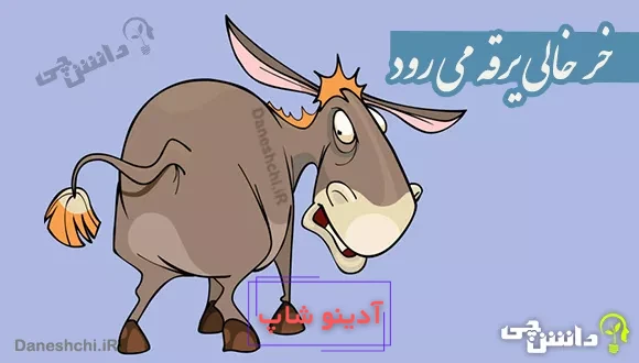 خر خالی یرقه می رود