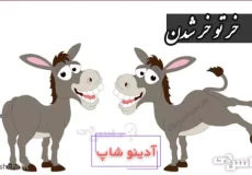 ضرب المثل خر تو خر شدن