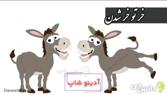 ضرب المثل خر تو خر شدن