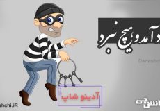 دزد آمد و هیچ نبرد