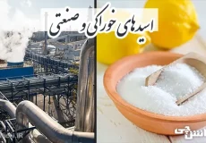 تحقیق در مورد اسیدهای خوراکی و صنعتی
