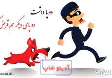 معنی دو پا داشت دو پای دیگر هم قرض کرد