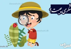 تحقیق درباره کاوشگری و هدف از آن