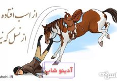 ضرب المثل از اسب افتاده از نسل که نیفتاده