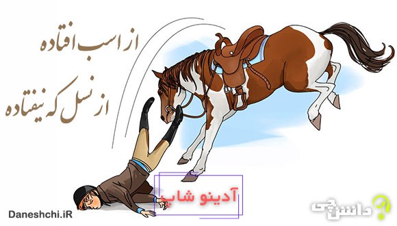 ضرب المثل از اسب افتاده از نسل که نیفتاده