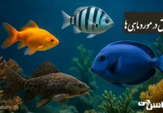 تحقیق در مورد ماهی ها و غذایشان