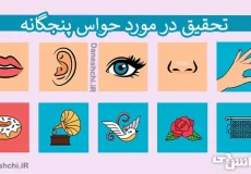 تحقیق در مورد حواس پنجگانه