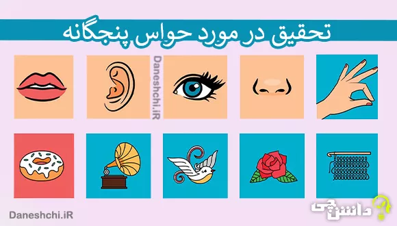 تحقیق در مورد حواس پنجگانه