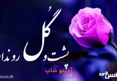 گل پشت و رو ندارد