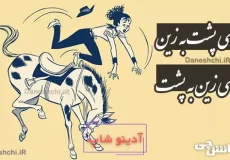 گهی پشت به زین و گهی زین به پشت