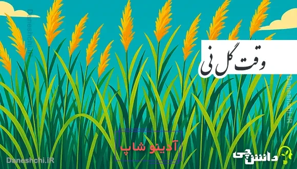 وقت گل نی