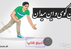 این گوی و این میدان