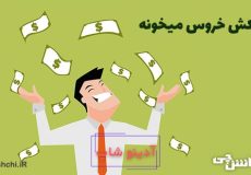 معنی کبکش خروس میخونه