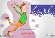 هر چی سنگه مال پای لنگه
