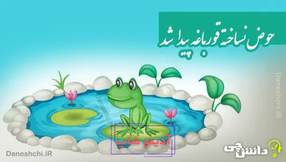 حوض نساخته قورباغه پیدا شد