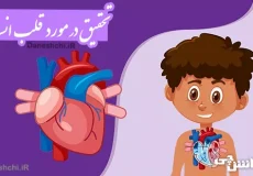 درباره قلب انسان و کارکرد آن
