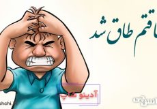 معنی ضرب المثل طاقتم طاق شد