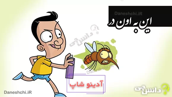 ضرب المثل این به اون در