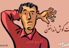 معنی پشت گوش انداختن