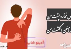 کس نخارد پشت من جز ناخن انگشت من
