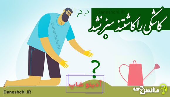 کاشکی را کاشتند سبز نشد 