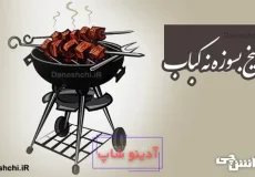 نه سیخ بسوزه نه کباب