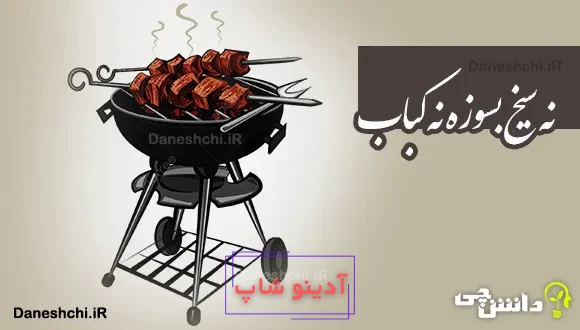 نه سیخ بسوزه نه کباب 