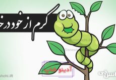 کرم از خود درخته