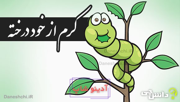 کرم از خود درخته
