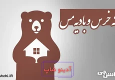 خانه خرس و بادیه مس