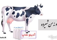 ضرب المثل گاو نه من شیرده
