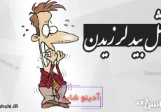 مثل بید لرزیدن