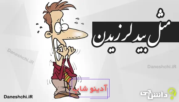 مثل بید لرزیدن 
