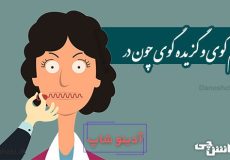 کم گوی و گزیده گوی چون در