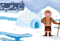 زندگی در قطب شمال
