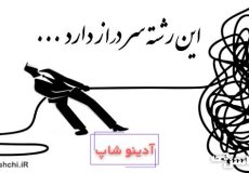 معنی این رشته سر دراز دارد