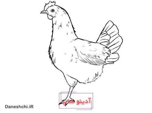 نقاشی مرغش یک پا داره