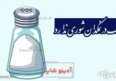 نمک در نمکدان شوری ندارد، دل من طاقت دوری ندارد