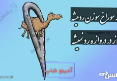 از سوراخ سوزن رد میشه اما از در دروازه رد نمیشه
