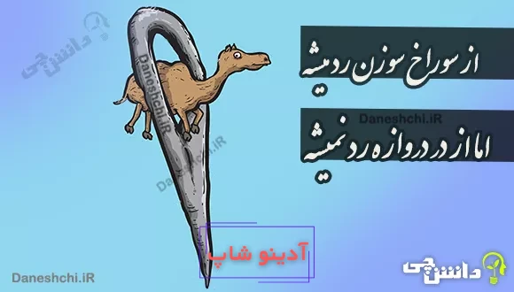 از سوراخ سوزن رد میشه اما از در دروازه رد نمیشه