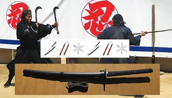 تحقیق در مورد ورزش نینجا 