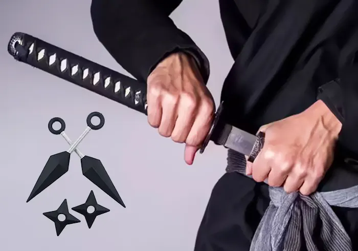 سبک‌ ها و تکنیک‌ های ورزش نینجا