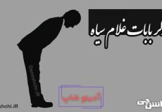 نوکر بابات غلام سیاه