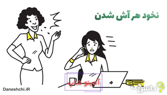 نخود هر آش شدن کنایه از چیست؟