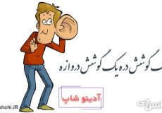 یک گوشش دره یک گوشش دروازه