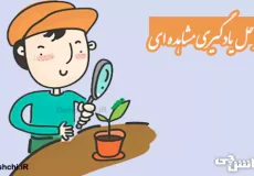 تحقیق در مورد یادگیری مشاهده ای و مراحل آن