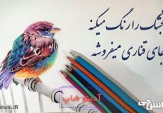 گنجشک را رنگ میکنه جای قناری میفروشه